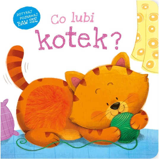 Co lubi kotek? 9788382991888 -zdjęcie numer 1