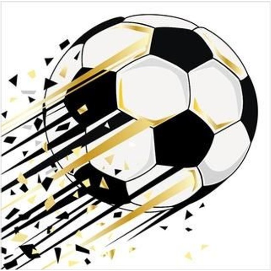 KARNET Monochrome Football 1218 -zdjęcie numer 1