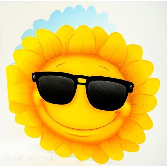KARNET Sunflower 2978 -zdjęcie numer 1
