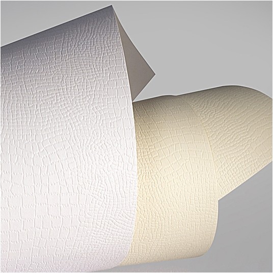 KARTON OZDOBNY BORNEO KREMOWY 220G/M2 (20) 4708 -zdjęcie numer 1