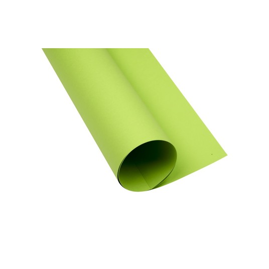KARTON TOP A2 160G JASNOZIELONY NR 66 5554 -zdjęcie numer 1