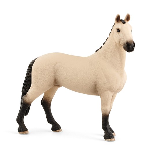 KOŃ-WAŁACH RASY HANOVERIAN, RED DUN HORSE CLUB 422 -zdjęcie numer 1