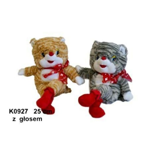 KOT 2 KOL. GŁOS 124906 -zdjęcie numer 1
