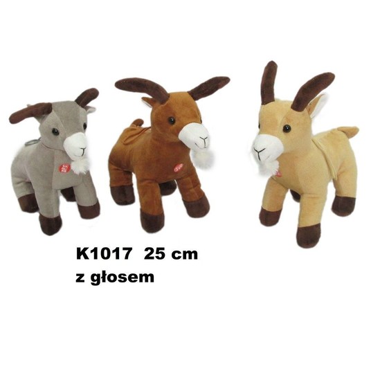 KOZICA 3 KOL GŁOS 135834 -zdjęcie numer 1