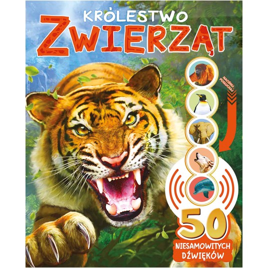 KSIĄŻECZKA 50 niesamowitych dźwięków. ZWIERZĘTA -zdjęcie numer 1