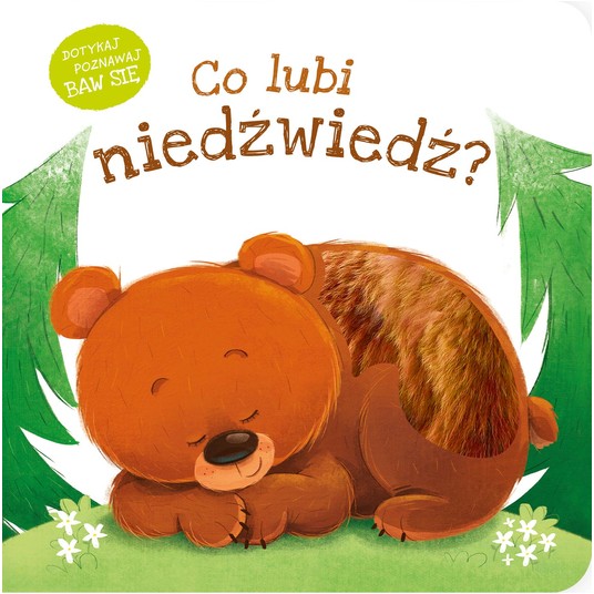 KSIĄŻECZKA Co lubi niedźwiedź? -zdjęcie numer 1