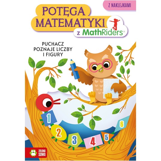 KSIĄŻECZKA Potęga matematyki z MathRiders -zdjęcie numer 1