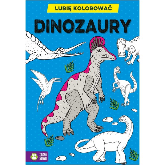 Lubię kolorować. Dinozaury w1 9788382406542 -zdjęcie numer 1