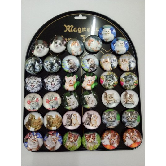 Magnesy koty O 3,5 cm -zdjęcie numer 1