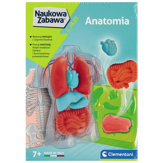 NAUKOWA ZABAWA ANATOMIA 2523 -zdjęcie numer 1