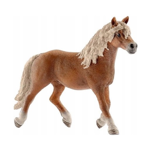 OGIER RASY HAFLINGER 7118 -zdjęcie numer 1