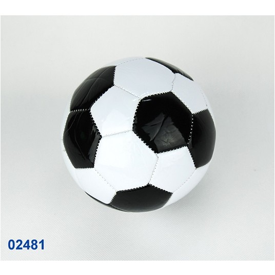 PIŁKA NOŻNA MINI 4811 -zdjęcie numer 1