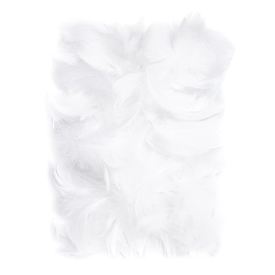 PIÓRKA 5-12 CM, 10 G WHITE A'6 2673 -zdjęcie numer 1