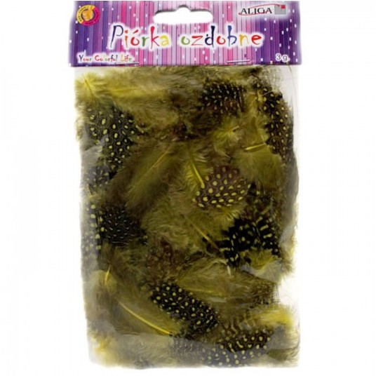 Piórka nakrapiane -zdjęcie numer 1