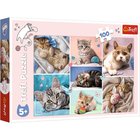 PUZZLE 100 W KOCIM ŚWIECIE 16420 -zdjęcie numer 1