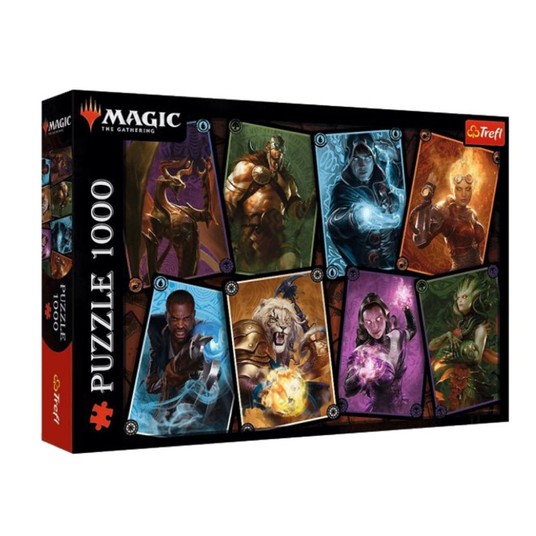 PUZZLE 1000 MAGICZNE SPOTKANIE 10765 -zdjęcie numer 1