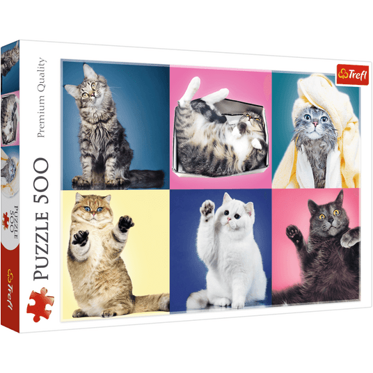 PUZZLE 500 KOCIAKI 37377 -zdjęcie numer 1
