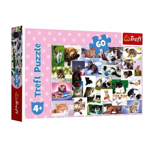PUZZLE 60 KOCI ŚWIAT 17332 -zdjęcie numer 1