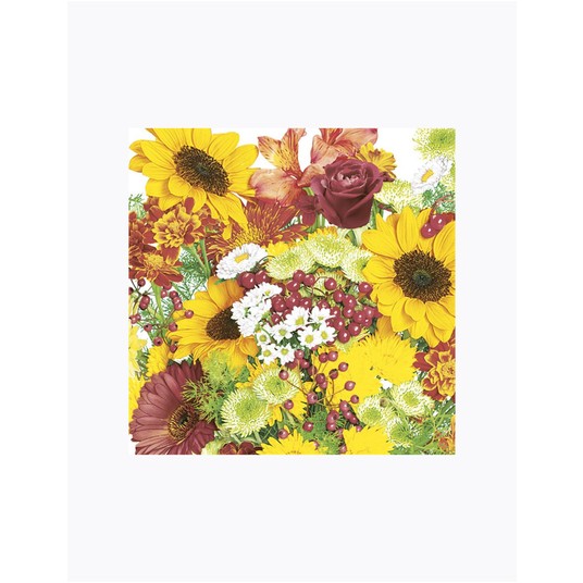 SERWETKI DAISY LUNCH 330X330 OGÓLNE 034001 -zdjęcie numer 1