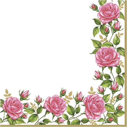 SERWETKI DAISY OGÓLNE 025501 -zdjęcie numer 1