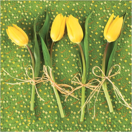 SERWETKI DAISY WIOSNA 002501 -zdjęcie numer 1