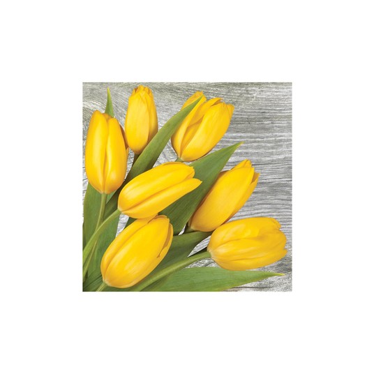 SERWETKI DAISY WIOSNA 004601 -zdjęcie numer 1