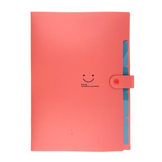 TECZKA PLASTIKOWA A4 Z 5 PRZEGRODKAMI / CZERWONA -zdjęcie numer 1