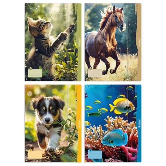 TECZKA RYS.A4 Z GUM.ANIMALS 300023013 A'10 -zdjęcie numer 1