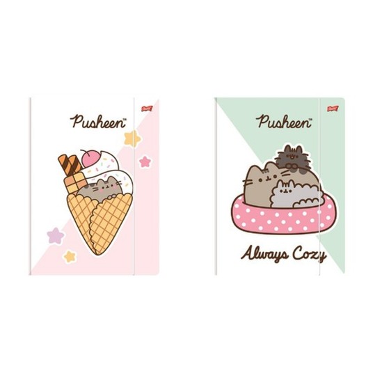 TECZKA Z GUMKĄ A4 300 g/m2 PUSHEEN 3314 A'10 -zdjęcie numer 1