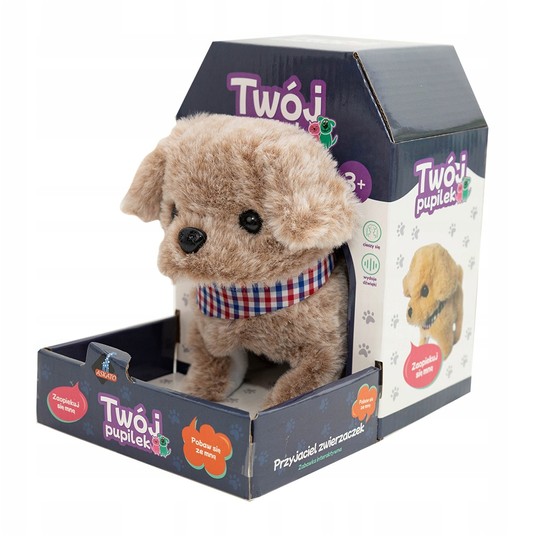 TWÓJ PUPILEK PIESEK 6043 -zdjęcie numer 1