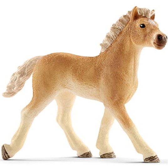 ŹREBIĘ RASY HAFLINGER HORSE CLUB RED 6053 -zdjęcie numer 1