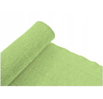 BIBUŁA MARSZCZONA NR 39 PISTACJOWY PASTEL 9743