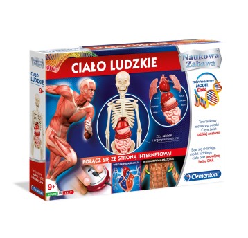 CIAŁO LUDZKIE CLE60249