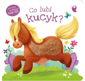 Co lubi kucyk? 9788382991895