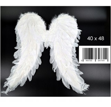 D42791 / SKRZYDŁA (200)