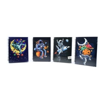 D42897 / NOTES (50/100) 0129