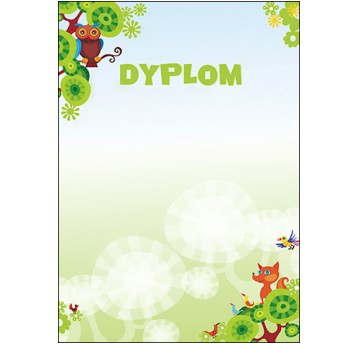 DYPLOM BAJKA 170G/M2 (25SZT)