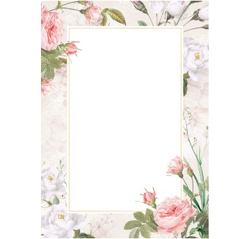 DYPLOM BELLA 170g (20) 8794