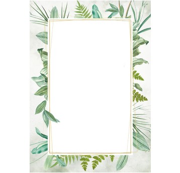 DYPLOM BOTANIC 219617 170G 25SZT 8107