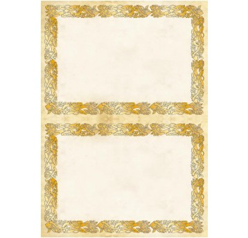 DYPLOM CELTIC A4/A5 170G/M2(25) 219417