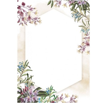 DYPLOM UMBRIA 170g/m2 (25) 0472