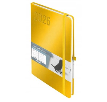 KALENDARZ 2026 MINIMALIZM A5 TNS ZŁOTY 2273