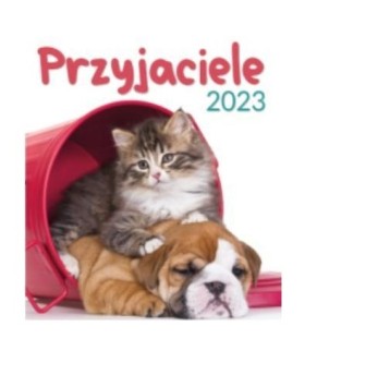 KALENDARZ 7 PLANSZOWY PRZYJACIELE 34X44 2025 5464