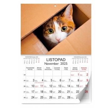 KALENDARZ KOTY LUX 2025 30x45 3509