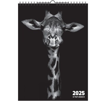 KALENDARZ SCI TOP WILD SPI A3/12K 2025 PION