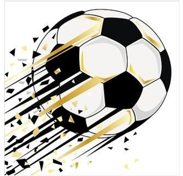 KARNET Monochrome Football 1218