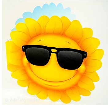 KARNET Sunflower 2978