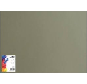 KARTON A1 TOP 160G CIEMNOSZARY NR 98(25) 4878