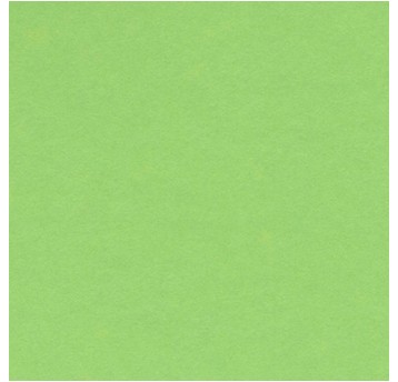 KARTON COLORLINE 50X65 150G (10) 27-PISTACJOW 0269