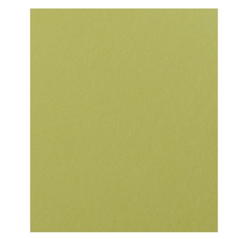 KARTON COLORLINE 50x65 150g (10) 88-LIMONKA 9029